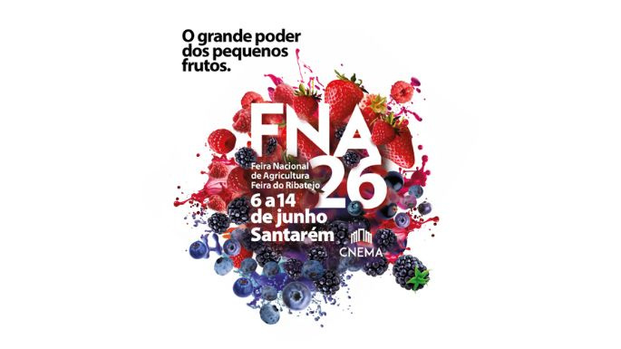 FNA26