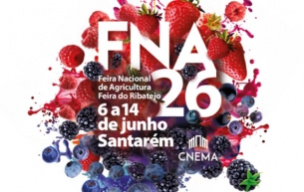 FNA26