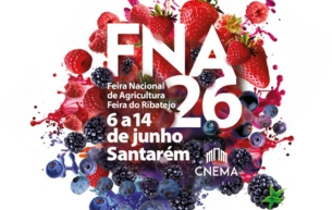 FNA26