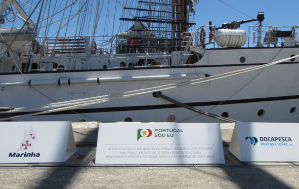 Navio Escola Sagres