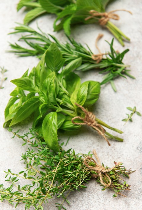 Ervas aromáticas