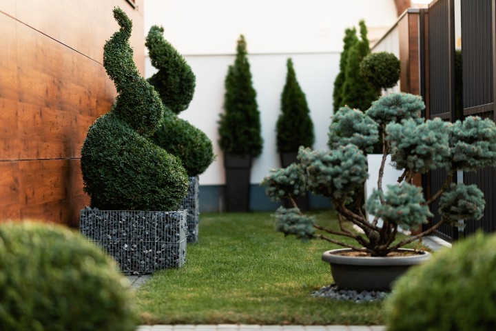Jardim