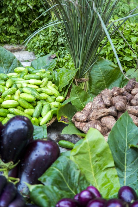 Legumes