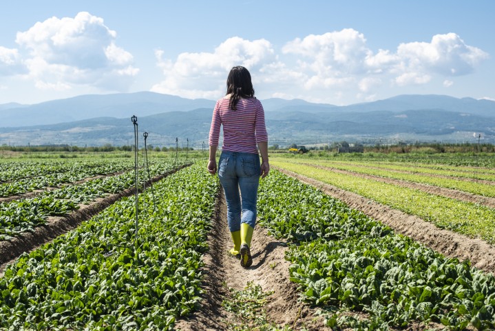 Agricultura biológica